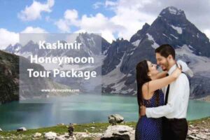06 Nights 07 Days Kashmir Honeymoon Tour Package