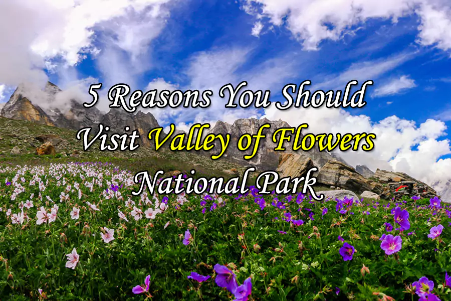 5 Reasons to Visit Valley of Flowers National Park in Uttarakhand